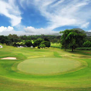 Corporate Tournament Package